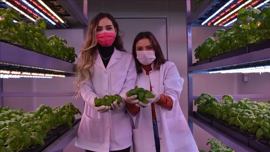 Topraksız Dikey Tarım Konteynerleri